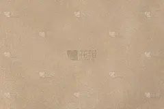 带有纹理背景的素色