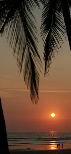 风景 手机壁纸 背景图