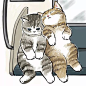 一位日本插画师笔下的小猫咪太可爱 他的插画是不折不扣猫奴