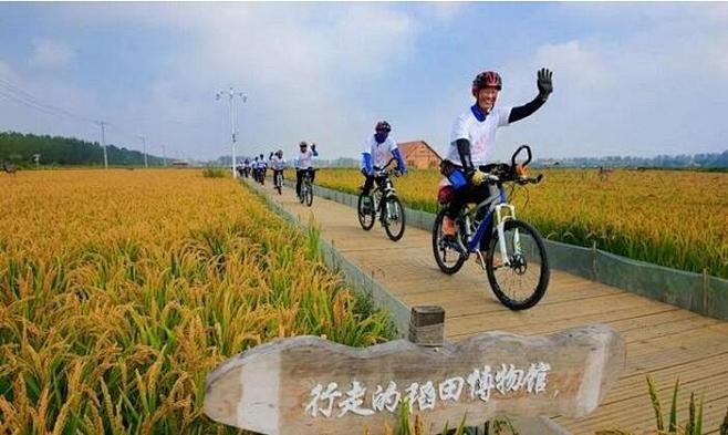 稻田游乐园：依托乡村农业资源，开辟稻田田...
