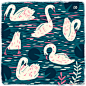 Swans, by Owen Davey