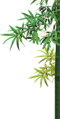 免扣素材
游戏古风场景绿树png