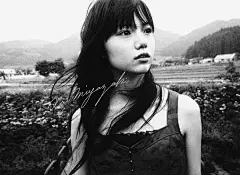 宫崎葵 Aoi Miyazaki 图片