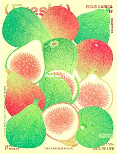 夏日蝉想采集到植物插画