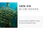 巅峰猫罐头 新西兰进口ZiwiPeak猫粮 猫咪幼猫牛肉羊肉鹿肉主食罐-淘宝网