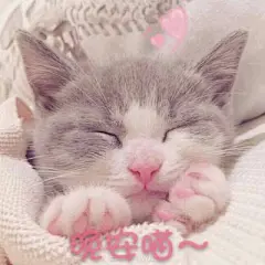 墨夜笙：仙女表情包_卡通动漫头像_我要个性网