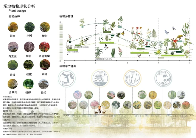 植物现状分析＋1 #代画 #ps #环境设计 #设计 #植物 #植物现状分析 #分析图 #植物现状 #景观#景观设计 #分析图代画 - 小红书-花瓣网