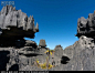 巧夺天工：盘点全球最惊人奇观
马达加斯加的贝马拉哈国家公园，被联合国教科文组织列为世界遗产。这座国家公园以壮观的石林而著称。石林由地下水不断侵蚀石灰岩形成。