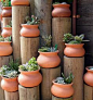 Clever idea for potted plants. Varying heights add visual interest.