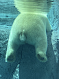 オレは败北を知らない。
