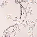中式(1049图)_@宁静~收集_花瓣平面 (324)