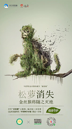 OoDd采集到移花接木