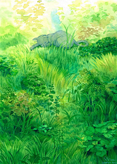 我曾在幽密的草丛里看到过一只憩息的蓝色的猫.