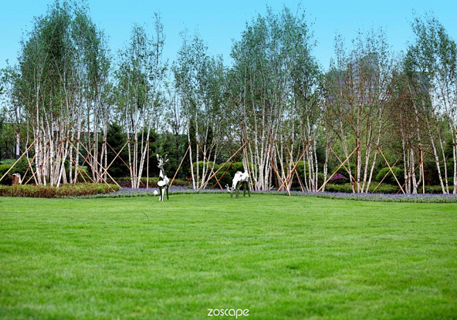 草坪#zoscape#草坪景观设计#微地...