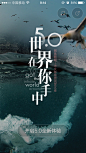 世界在你手中