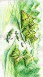 粽山粽叶龙舟赛场