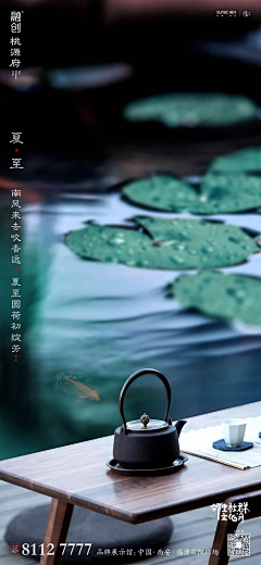 虎虎啊虎采集到节气