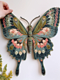 世界上最大的蝴蝶|亚历山大鸟翼凤蝶