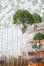 万众瞩目！国内罕见室内城市森林 | 2021年最值得期待的购物中心：光环购物公园今日开业