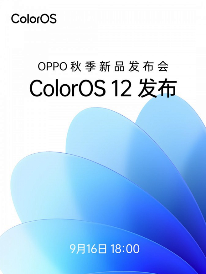 color_top