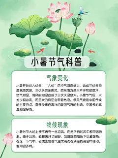 小暑节气科普中式感小红书套装小红书配图