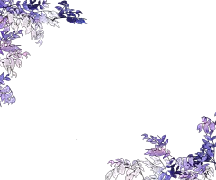 柳猫-【フリー素材】＊彼岸花と葉(50085994-8)