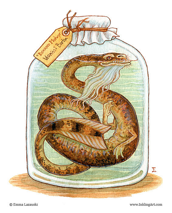 Bottled Creatures - ...