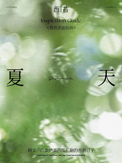 黄色西瓜车厘子采集到work idea