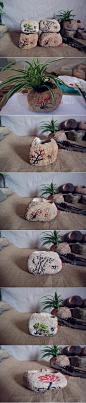 朴实的石头，只要稍加点缀，便能散发古朴韵味。by：石韵工坊
#石头手绘# #原生态# #石头花盆#
http://shop112084246.taobao.com/