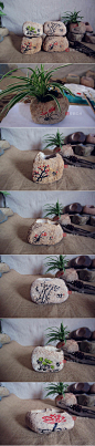 朴实的石头，只要稍加点缀，便能散发古朴韵味。by：石韵工坊
#石头手绘# #原生态# #石头花盆#
http://shop112084246.taobao.com/_大自然的时光雕刻师 _T2018920 #率叶插件，让花瓣网更好用#