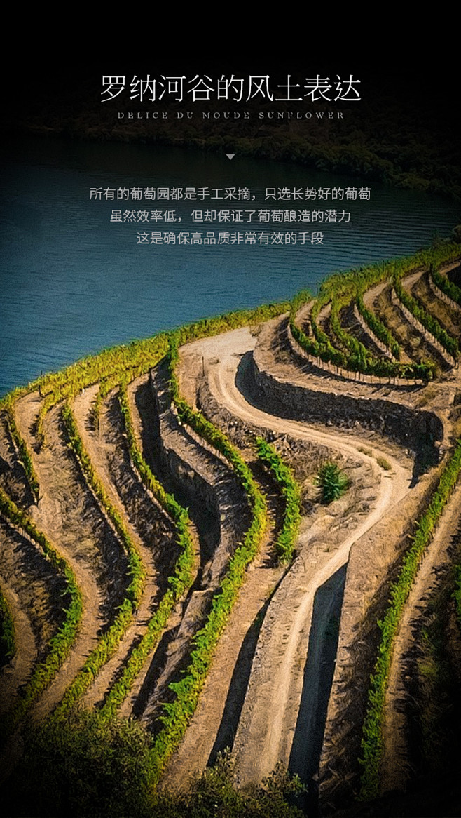 WINEBOSS 法国原瓶进口干红葡萄酒...