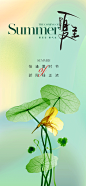 夏至节气海报设计师夏至节气海报