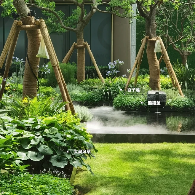 【KKLAout】户外雨林花境！植物品种搭配 - 小红书-花瓣网