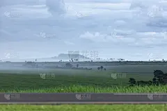 巴西戈阿斯戈亚尼亚甘蔗农场地平线上的雨