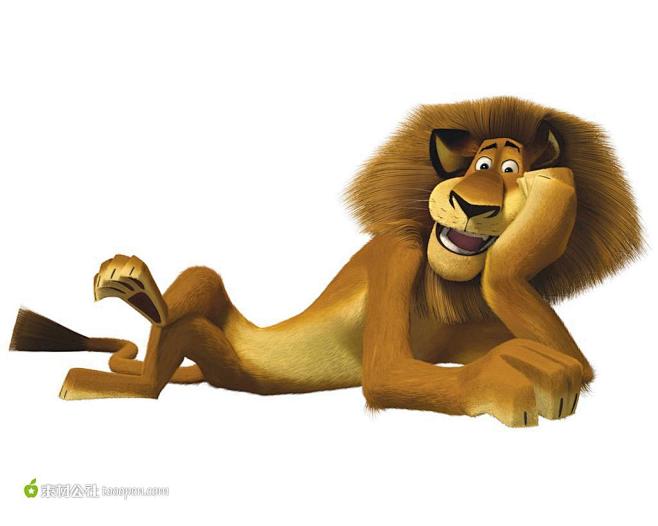 马达加斯加躺着的狮子素材