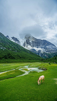 我是大食量采集到背景