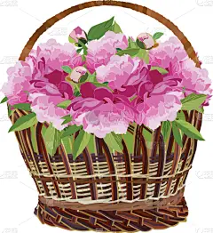 分离着色,牡丹,篮子,花卉商,母亲,粉色,褐色,柳条,木制,花