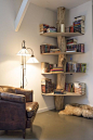 slightlyignorant: I want tree-shelves in my apartment!!!: 