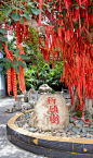 发财树,自然,垂直画幅,灵性,无人,风水,叶子,多色的,想法,摄影