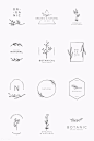 Organic product brand logo vector collection | premium image by rawpixel.com / sasi