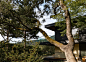 加州小岛住宅 / SWATT + PARTNERS – mooool木藕设计网