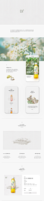 からだ巡茶品牌官网设计_DuanXiang_平面设计图片-致设计
