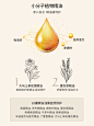 BF|BRANDFREE日本精油发膜180g护发素滋养干枯改善毛躁顺滑补水-tmall.hk天猫国际