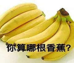 嘲讽表情包-你算哪个土豆