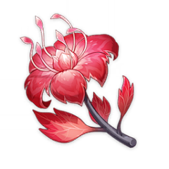 呆不凡采集到花道具