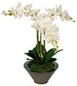 Artificial White Triple Stem Orchid in Gunmetal Round Zinc Vase traditional-artificial-flower-arrangements