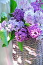 Beautiful purples in weathered basket.