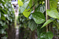 VCG41N1086063812