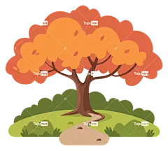 秋叶—色彩缤纷的树，红叶，森林小路