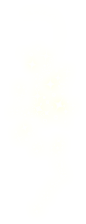 素材圣诞9